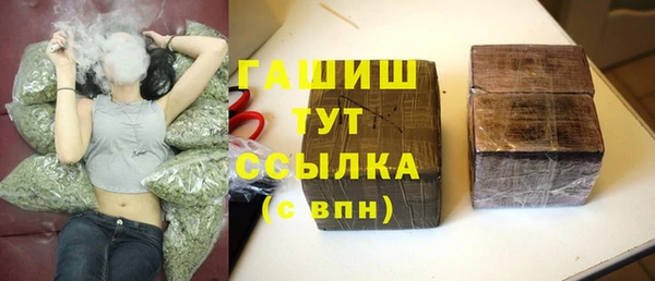 прущие грибы Верхний Тагил