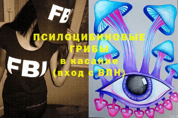 прущие грибы Верхний Тагил