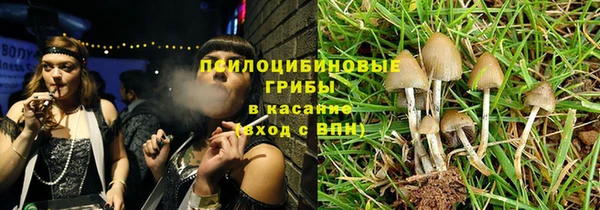 прущие грибы Верхний Тагил