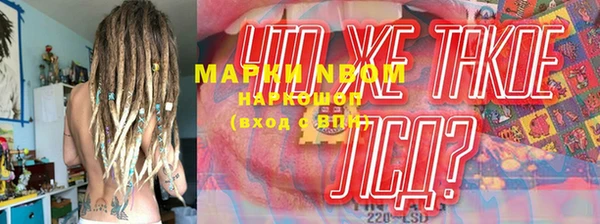 прущие грибы Верхний Тагил