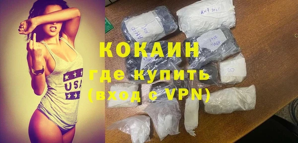 прущие грибы Верхний Тагил