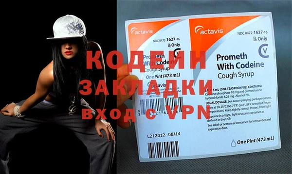 прущие грибы Верхний Тагил