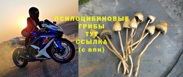MESCALINE Верея