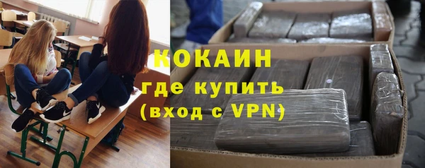 прущие грибы Верхний Тагил