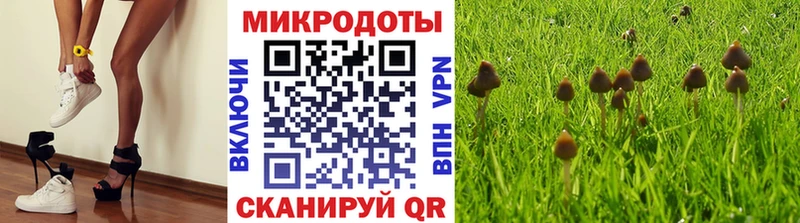 Галлюциногенные грибы Psilocybine cubensis  наркота  kraken онион  Кировск 